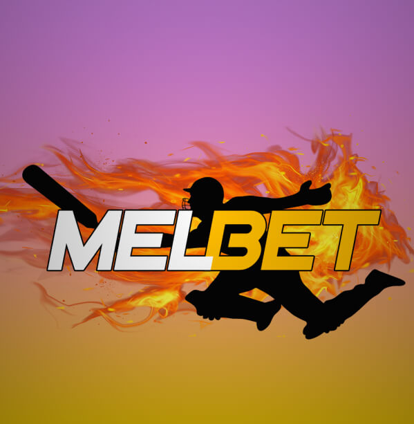 Melbet Bookie Summary