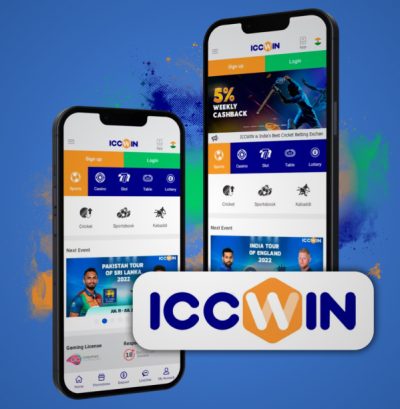 General Information about the Iccwin Application